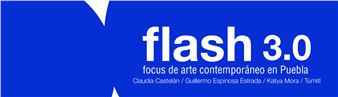 Flash 3.0: Focus de Arte Contemporáneo en Puebla - Museo Amparo