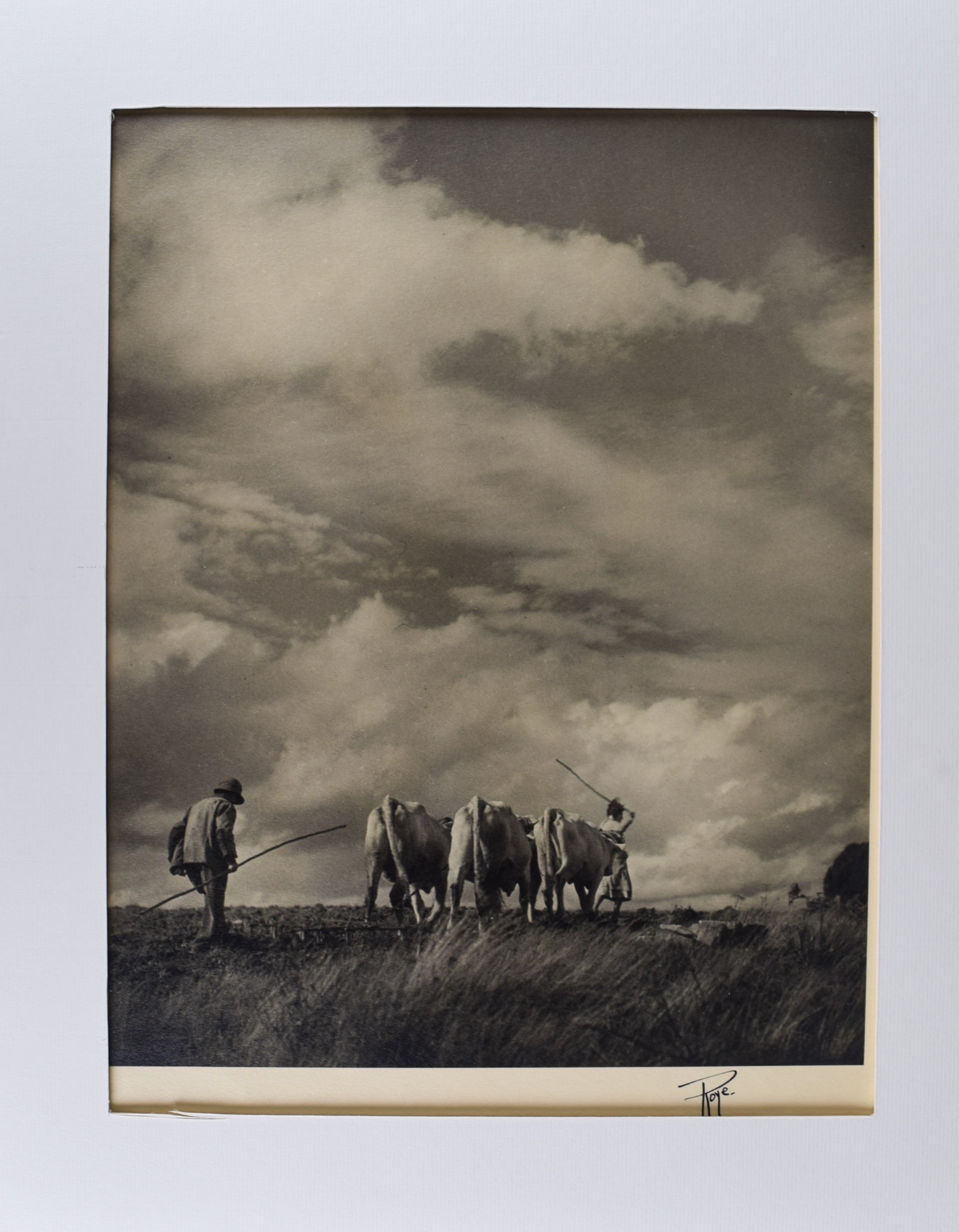 Horace Roye | A group of six photographs | MutualArt