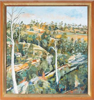 Hills at Lillian Rocks - Barry Skinner