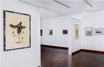 Kreeger’s the DMV Collects the DMV Examines the Ecosystem of D.C.’s Print Arts