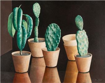 Still life with cacti and rubber tree - Ilona Singer