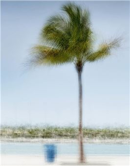 Winter and Sun - In The Gallery, Palma Museum