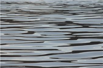 Ellen Kozak and Scott D. Miller: River-Rising - Hunterdon Museum of Art