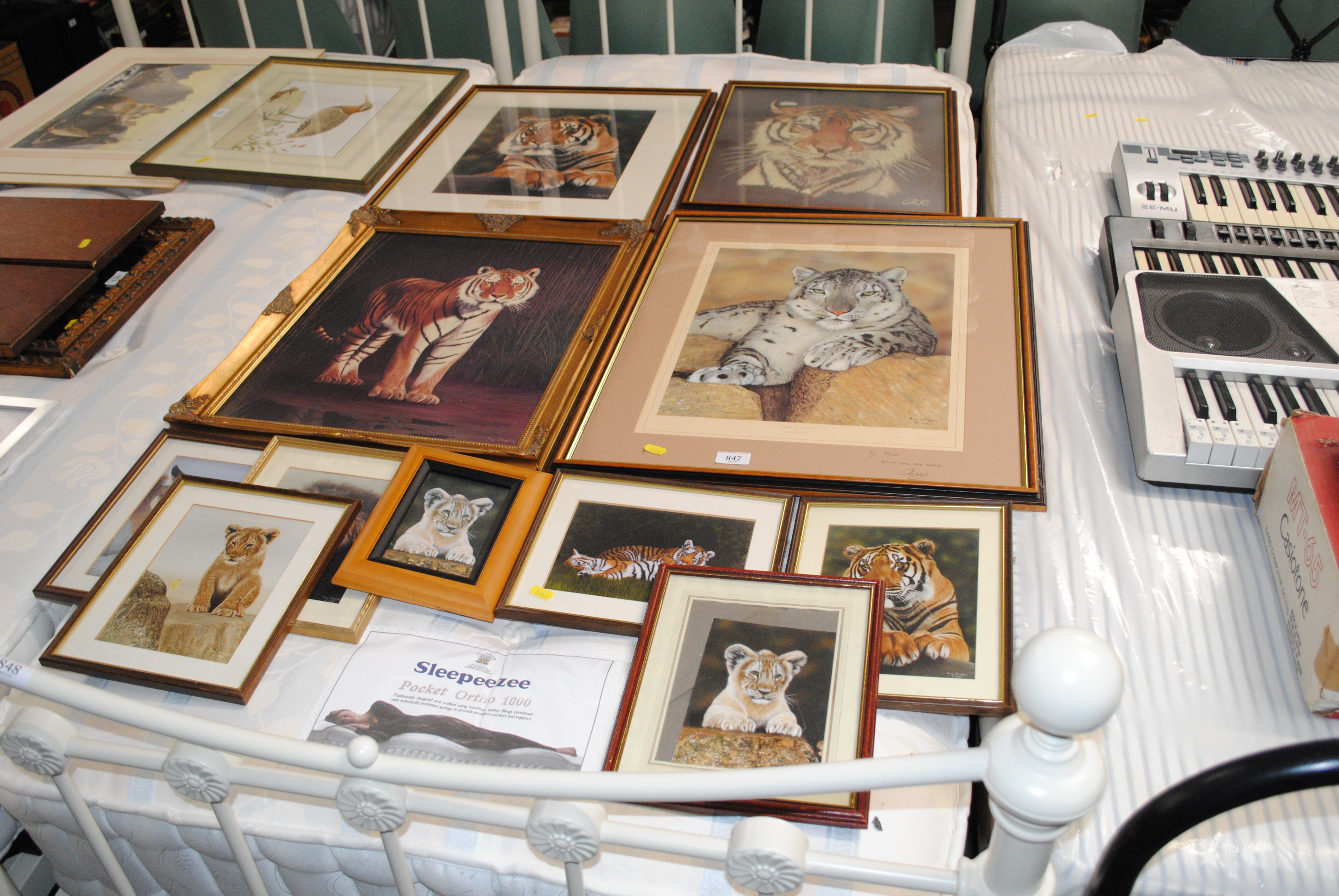 Roy Chaffin | A collection of Roy Chaffin wildlife prints | MutualArt