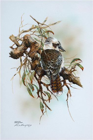 Paul Margocsy | Laughing Kookaburra | MutualArt