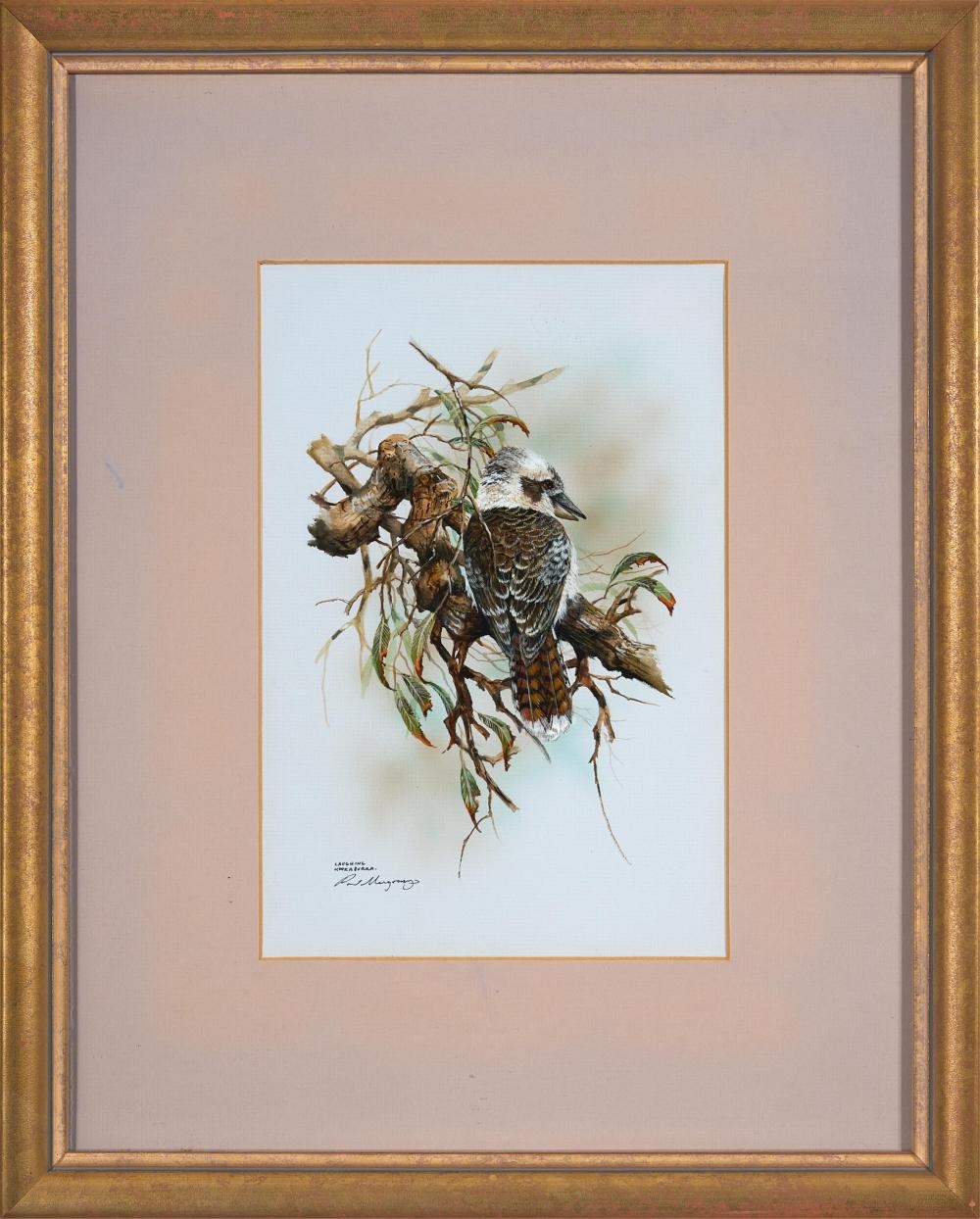 Paul Margocsy | Laughing Kookaburra | MutualArt