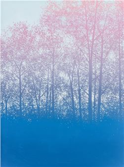 Vers le rose - Benoit Trimborn