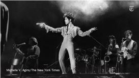 Michelle V. Agins: Storyteller