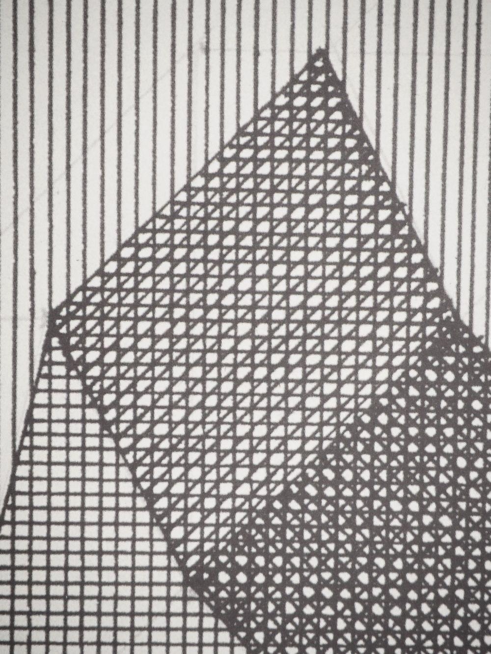 Artwork by Sol LeWitt, Sol LEWITT - Geometric Figures, Made of Heliogravure