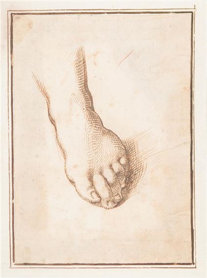 Foot by Italian School, 16th Century