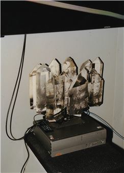 Rachele Maistrello: Ordinary Wounds - Artopia