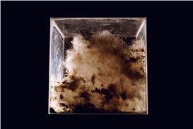 Julieta Aranda: Clear Coordinates for Our Confusion