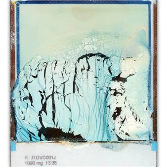 Charles Bishop: Instant Decay - Katzman Art Projects