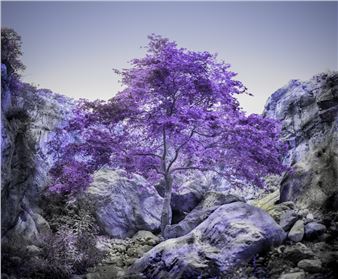 Geert Mul: Gardens of Events - Ron Mandos, Amsterdam