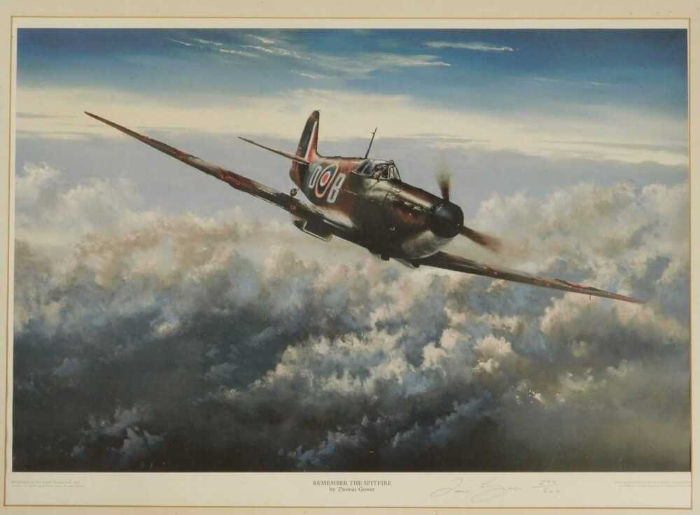 Thomas Gower | Thomas Gower. Remember the Spitfire | MutualArt