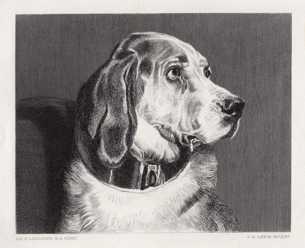 Edwin Landseer | Sir Edwin Henry Landseer Odin engraving signed | MutualArt