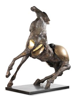 Cavallo - Nag Arnoldi