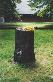 3 Werke - Klaus Staeck