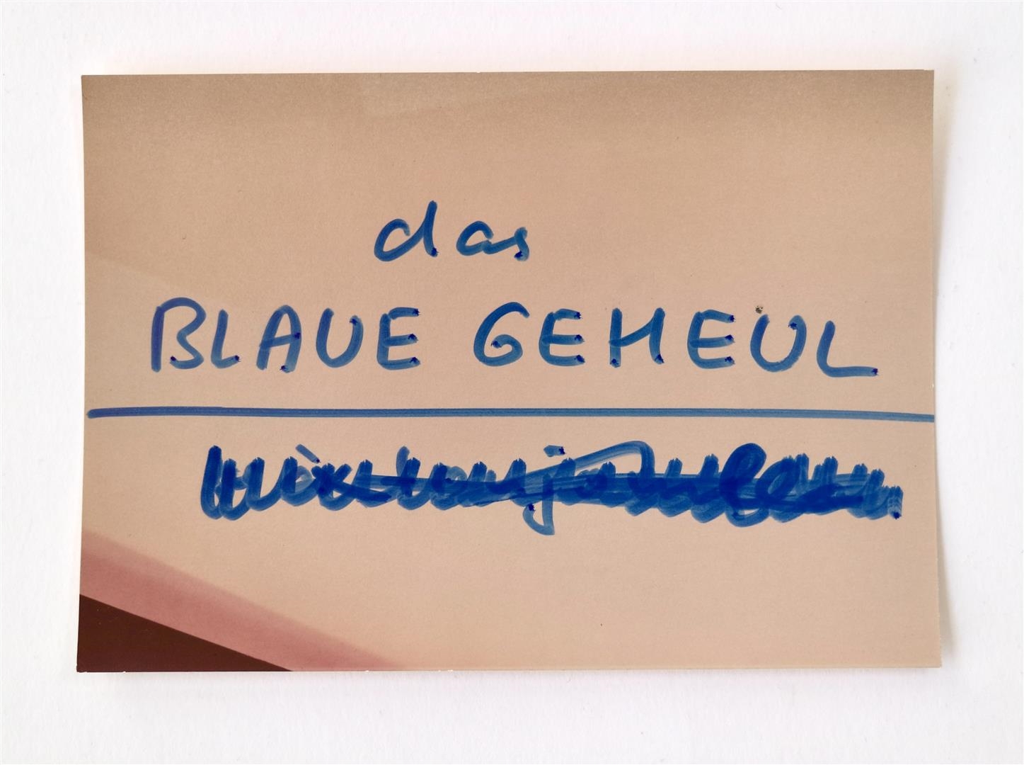 Artwork by Wolf Vostell, Dé-coll/age No.6, Bulletin der Fluxus und Happening Avantgarde, Made of blue pen on photographic paper
