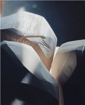 Adam Jeppesen: Sōzō - Martin Asbaek Gallery
