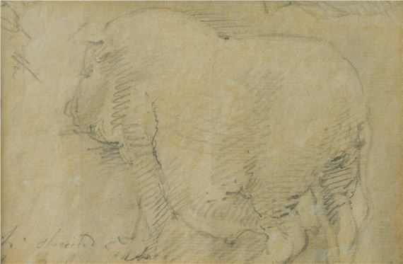 James Ward | Study of a pig | MutualArt