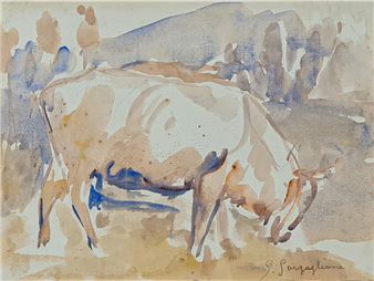 Touro - Giuseppe Gargaglione