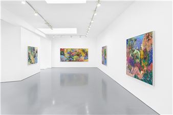 Connie Harrison: Bloomscapes - Luce Gallery