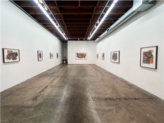 Jil Weinstock: Unwanted Collaborator: Fractured Landscapes and Rubber Herbaria - Walter Maciel Gallery