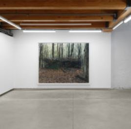 Jesse Gouveia: Plaid - Anonymous Gallery, New York