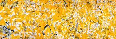 Inexperience II by William Anastasi, 1988