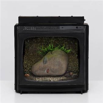 Carl Cheng: Nature Never Loses