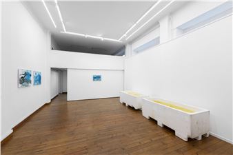 Roger Hiorns “Depotenziare” at C+N Gallery CANEPANERI, Milan