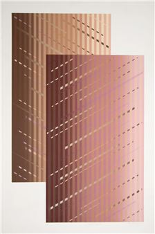 Bonded Ducks - David Meyer