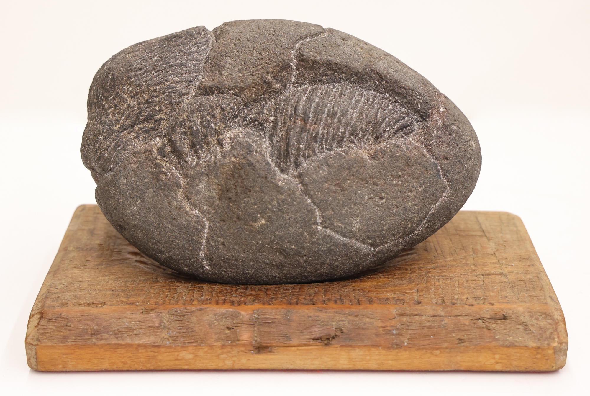 Artwork by James W. Washington Jr., James Washington Jr. ''Woodchuck Hatching'' 1977, Made of Granite Sculpture