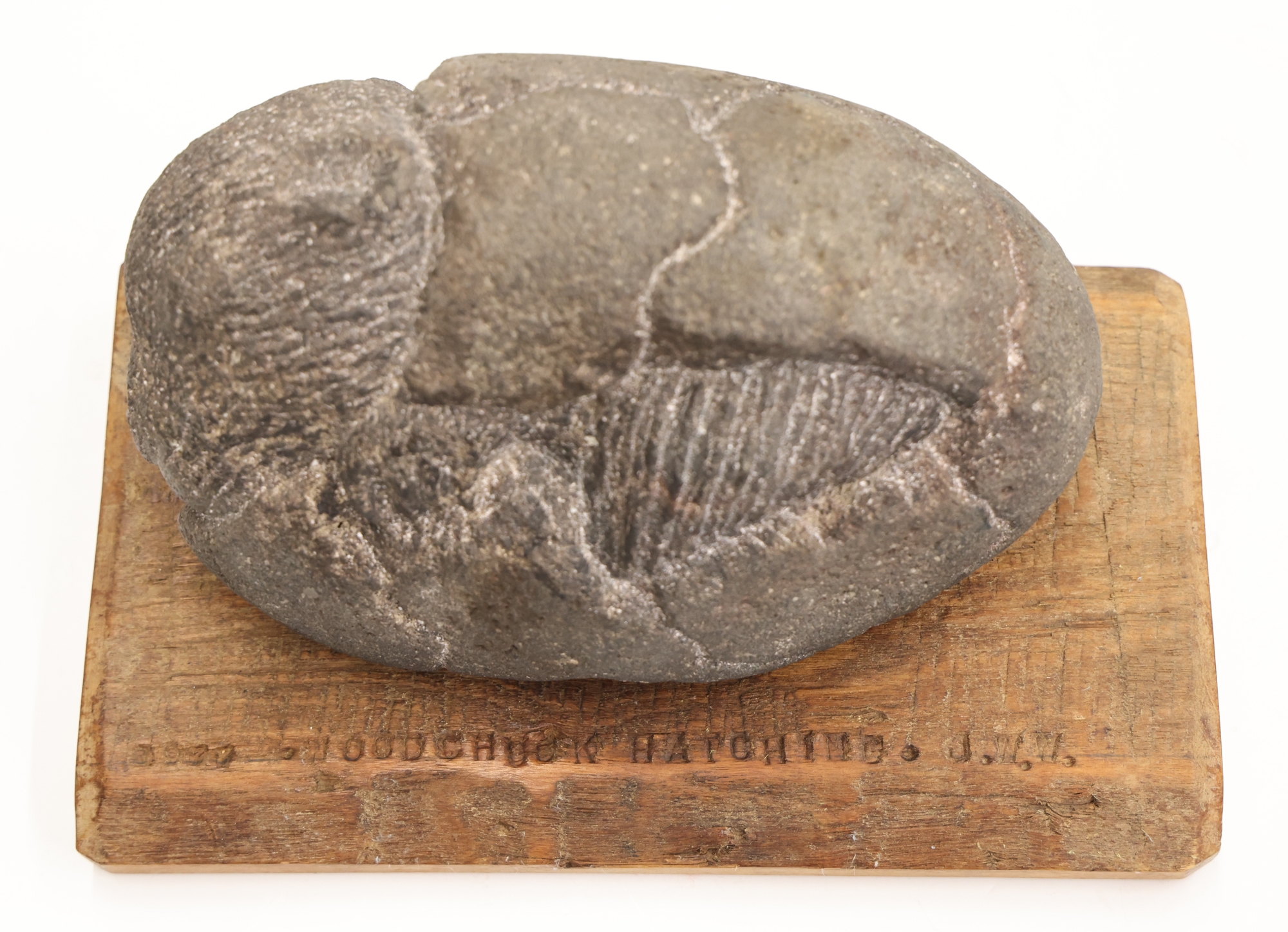 Artwork by James W. Washington Jr., James Washington Jr. ''Woodchuck Hatching'' 1977, Made of Granite Sculpture