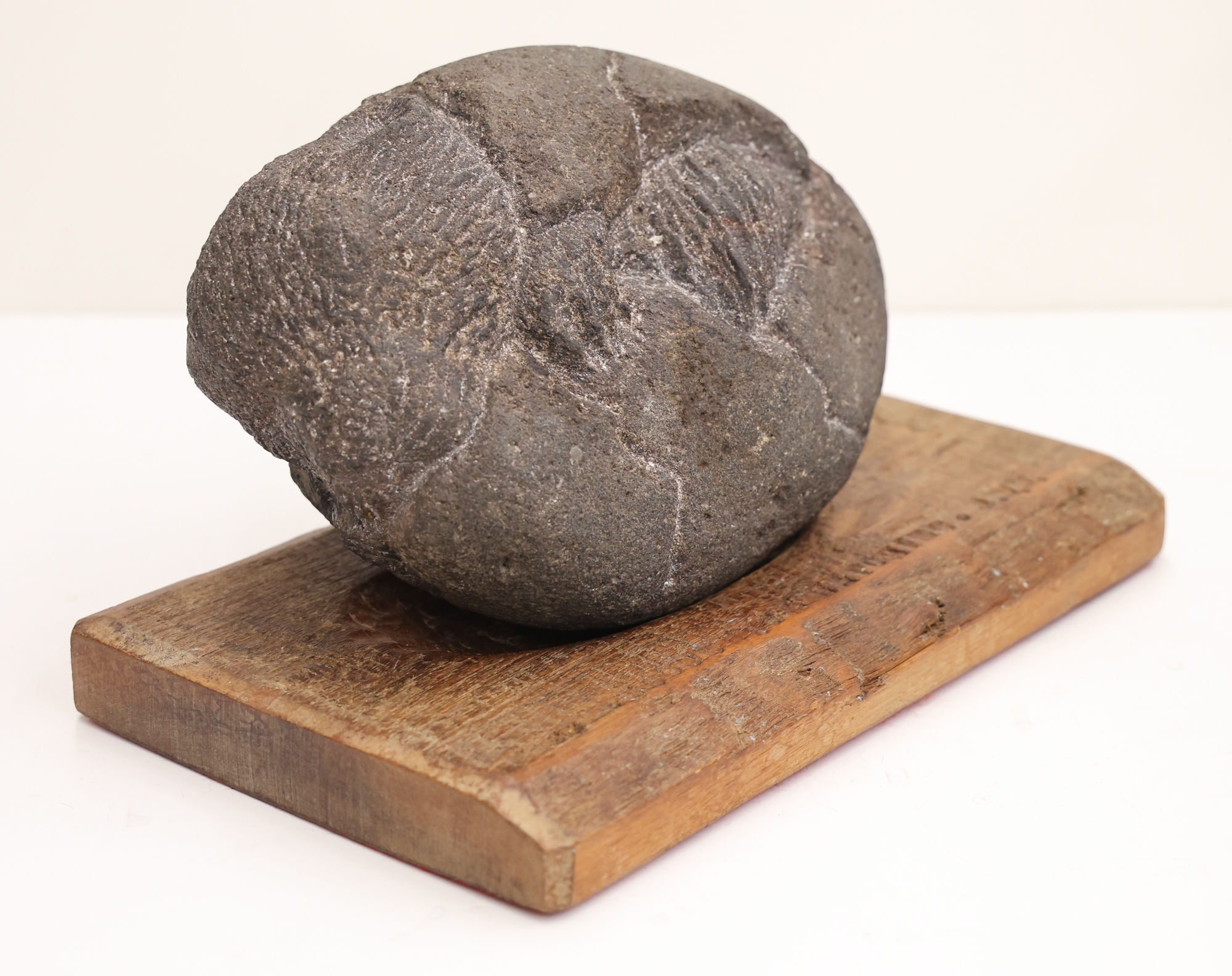 Artwork by James W. Washington Jr., James Washington Jr. ''Woodchuck Hatching'' 1977, Made of Granite Sculpture