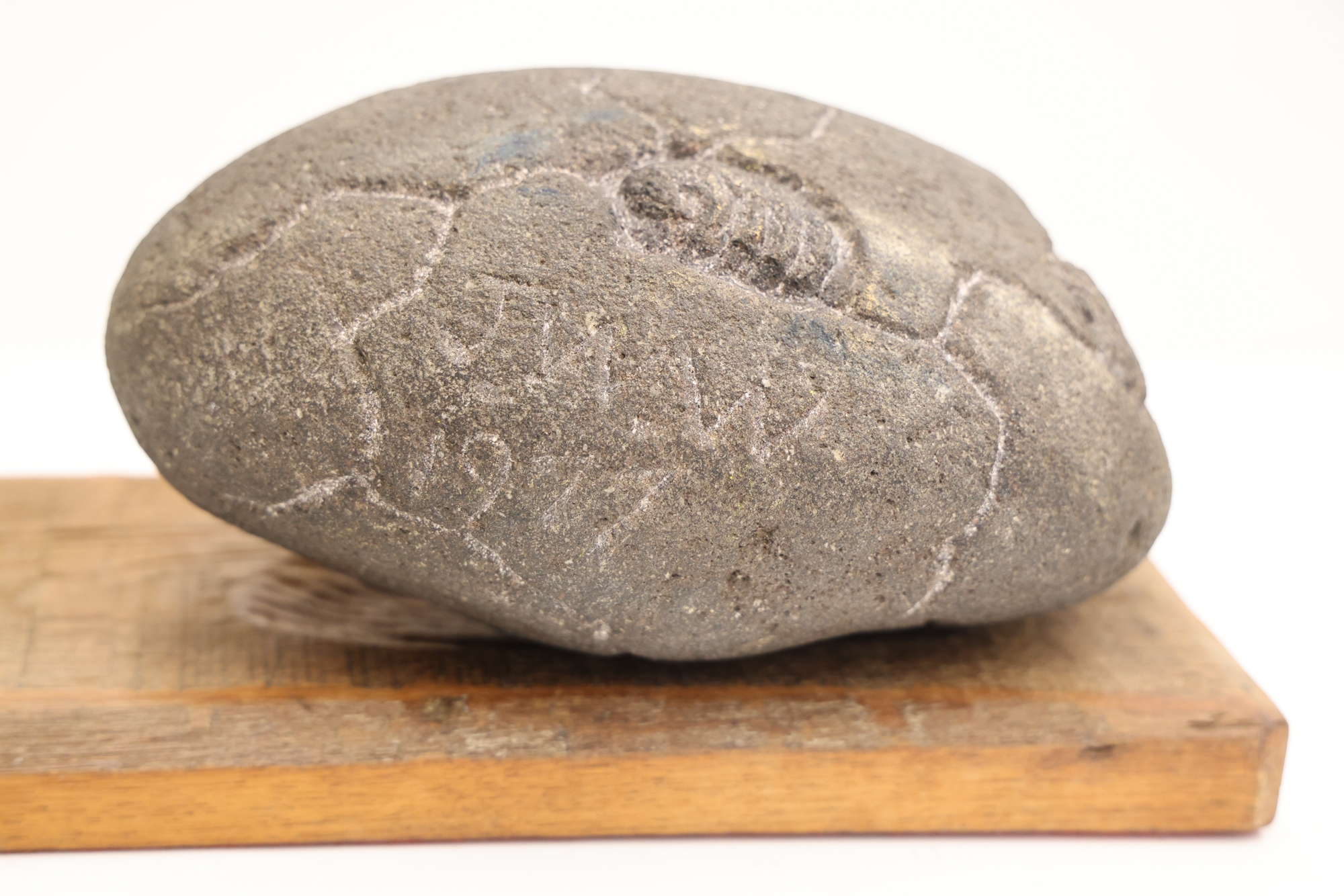 Artwork by James W. Washington Jr., James Washington Jr. ''Woodchuck Hatching'' 1977, Made of Granite Sculpture