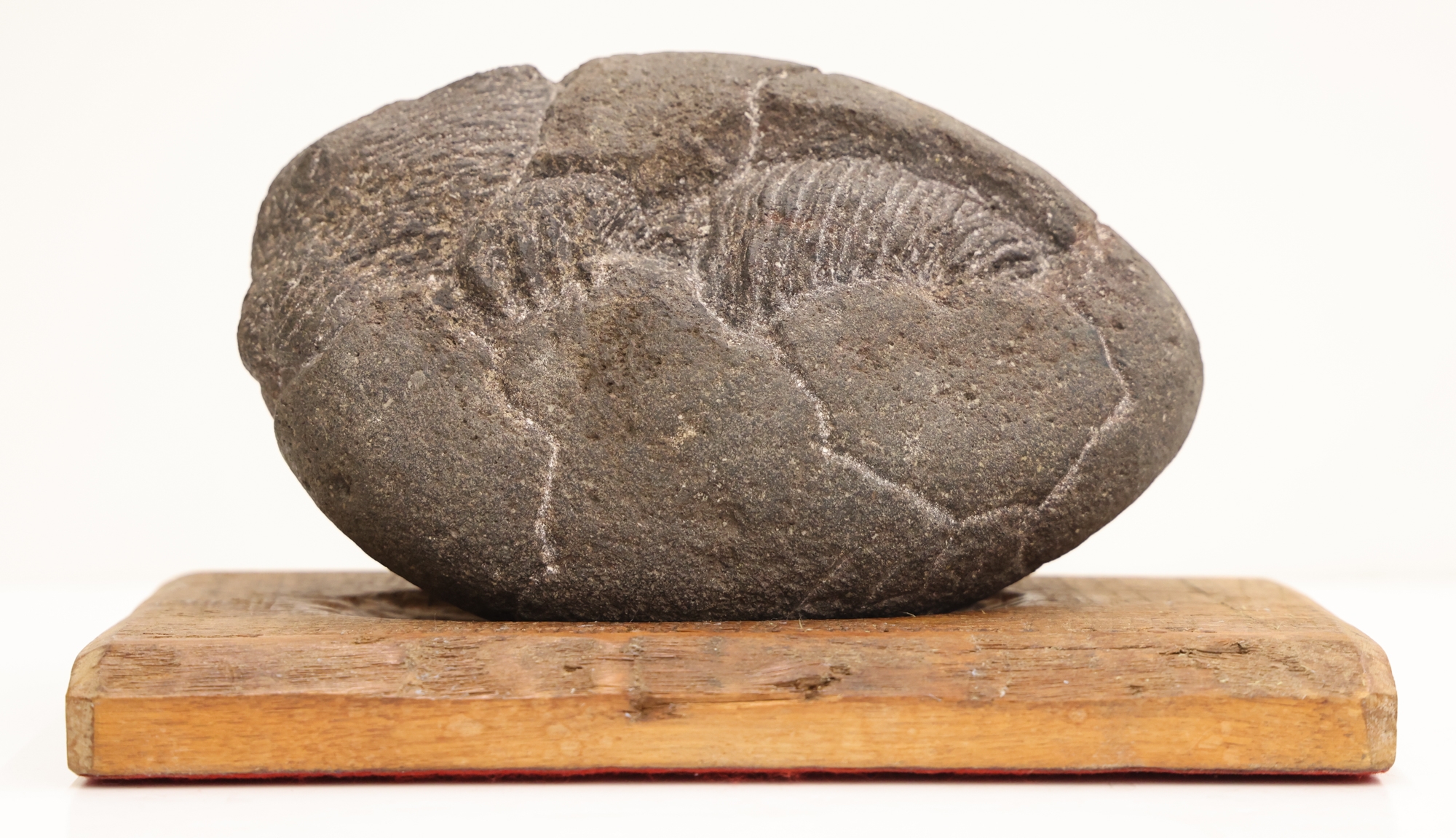 Artwork by James W. Washington Jr., James Washington Jr. ''Woodchuck Hatching'' 1977, Made of Granite Sculpture