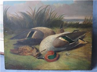 A study of wildfowl and teal on a bank - A. Mold