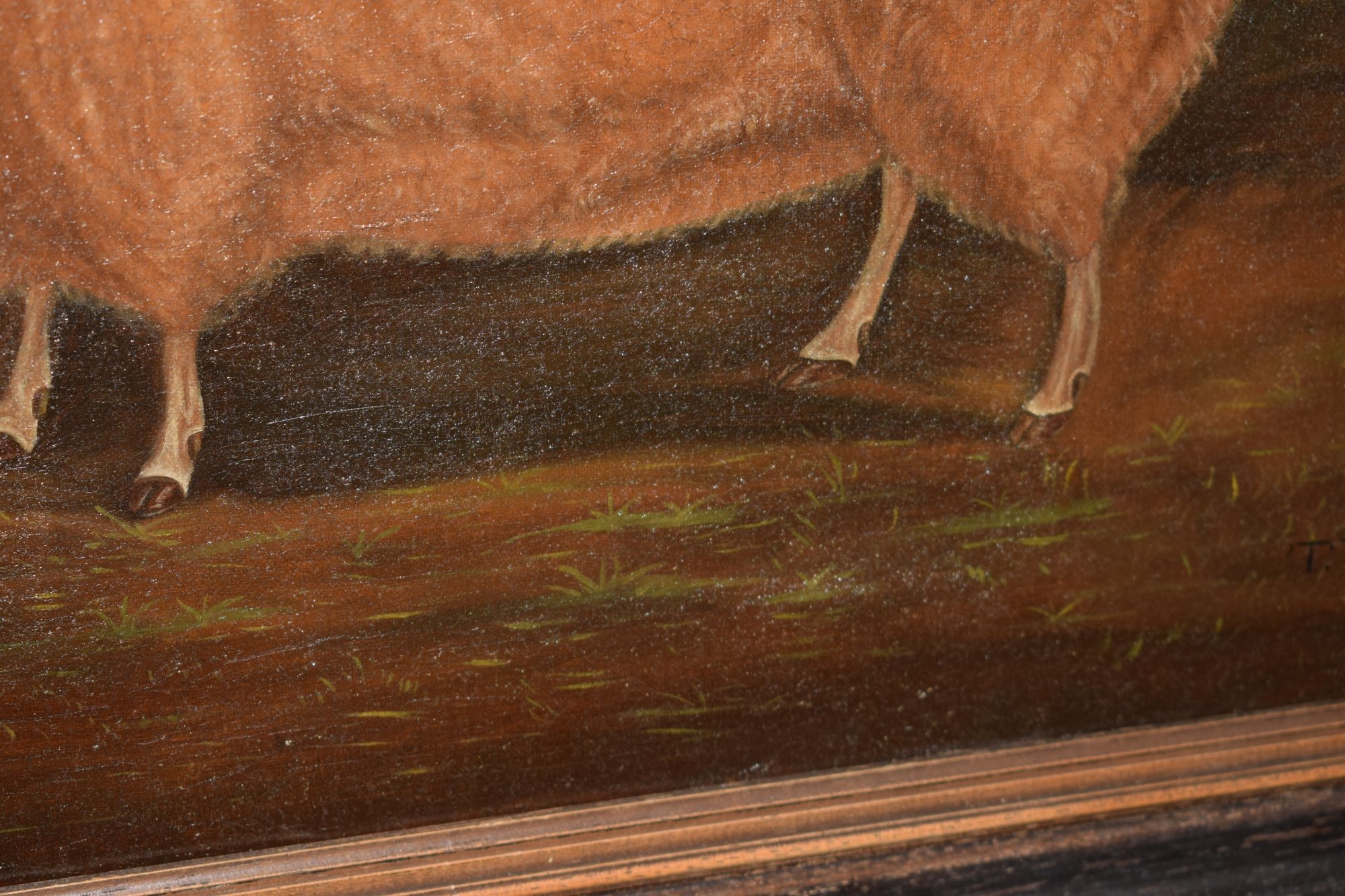 Thomas Yeomans | Oil on canvas - Primitive study of a sheep in a ...