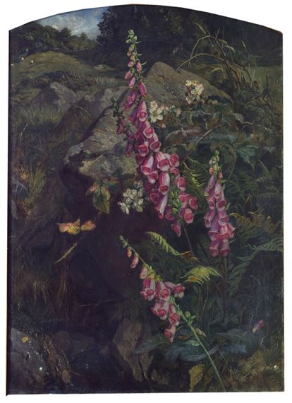 Oil - Foxgloves and ferns in a landscape - Martha Darlay Mutrie