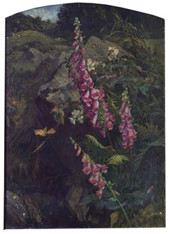 Oil - Foxgloves and ferns in a landscape - Martha Darlay Mutrie