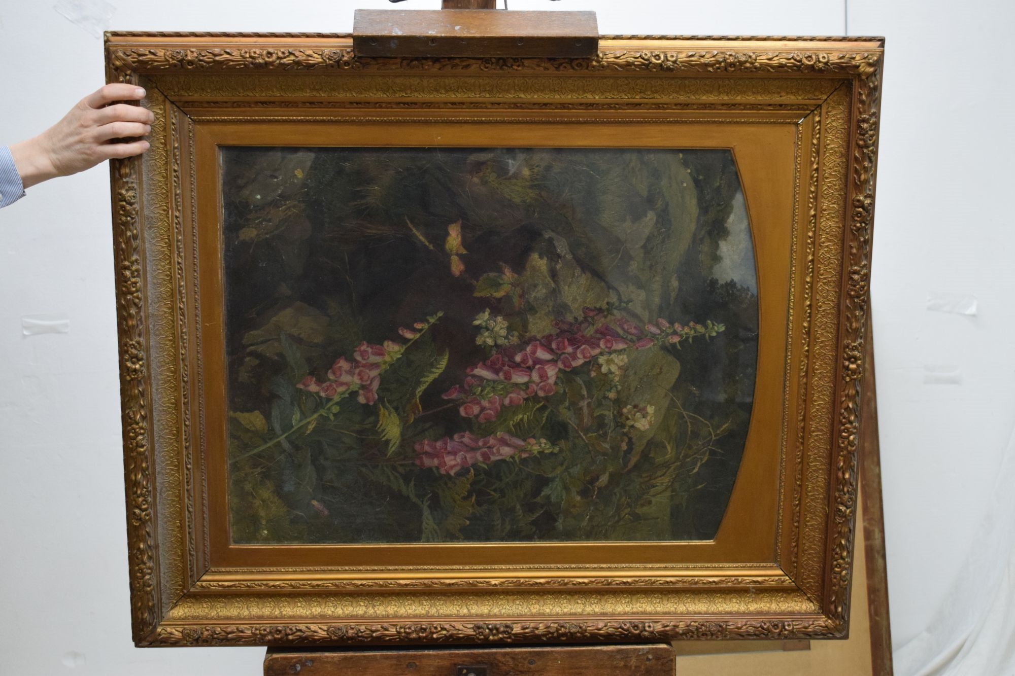 Artwork by Martha Darlay Mutrie, Oil - Foxgloves and ferns in a landscape, Made of Oil on paper