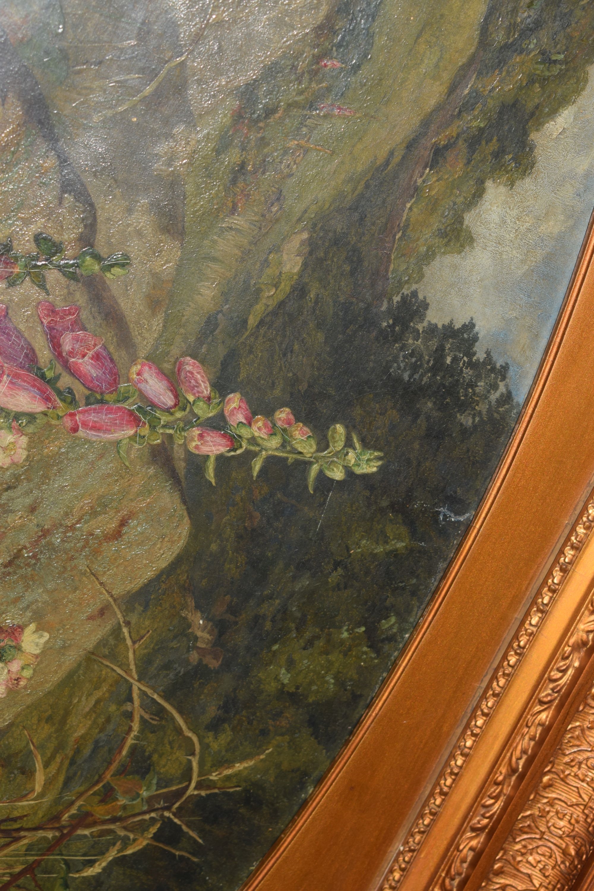 Artwork by Martha Darlay Mutrie, Oil - Foxgloves and ferns in a landscape, Made of Oil on paper