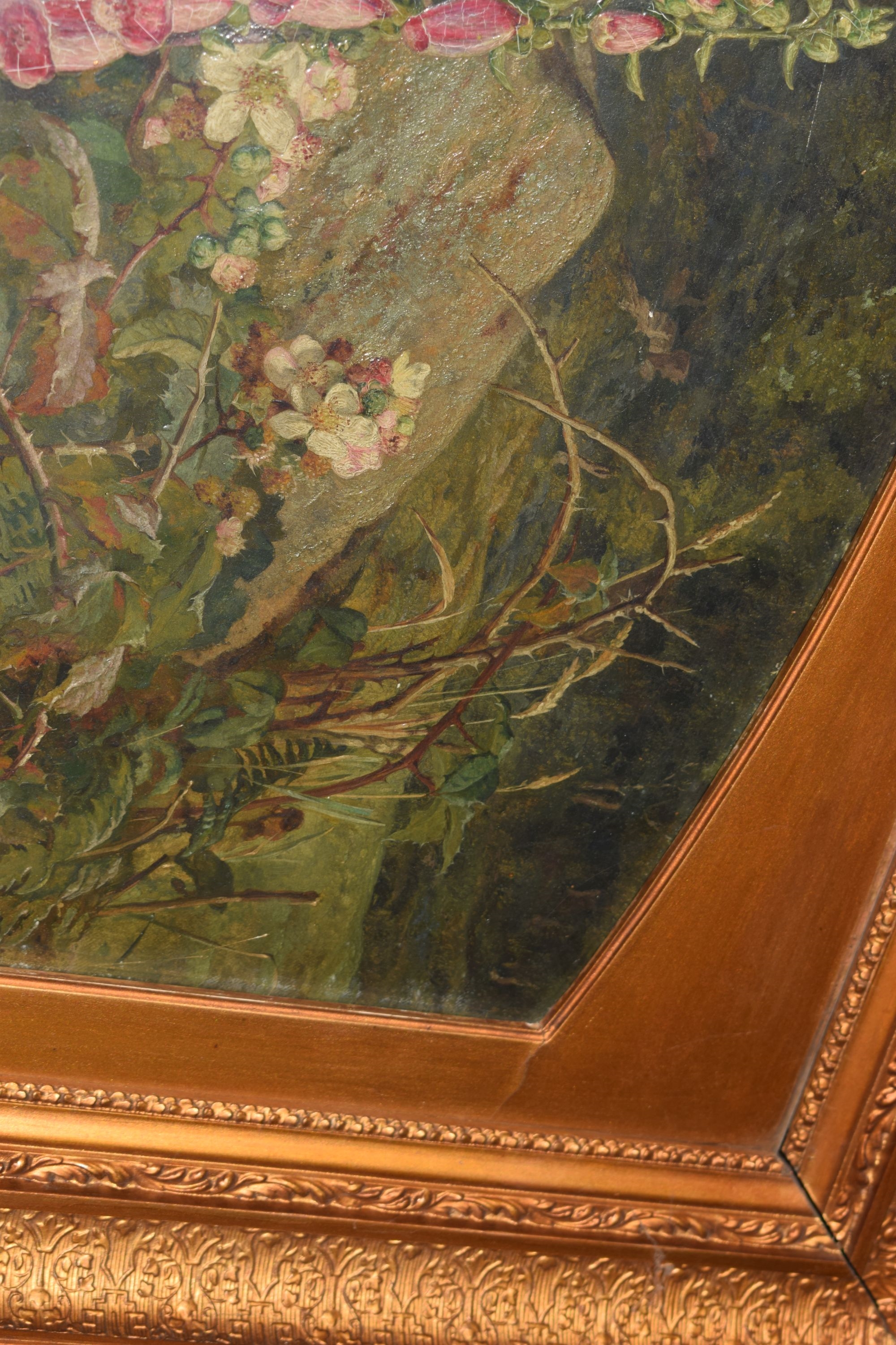 Artwork by Martha Darlay Mutrie, Oil - Foxgloves and ferns in a landscape, Made of Oil on paper