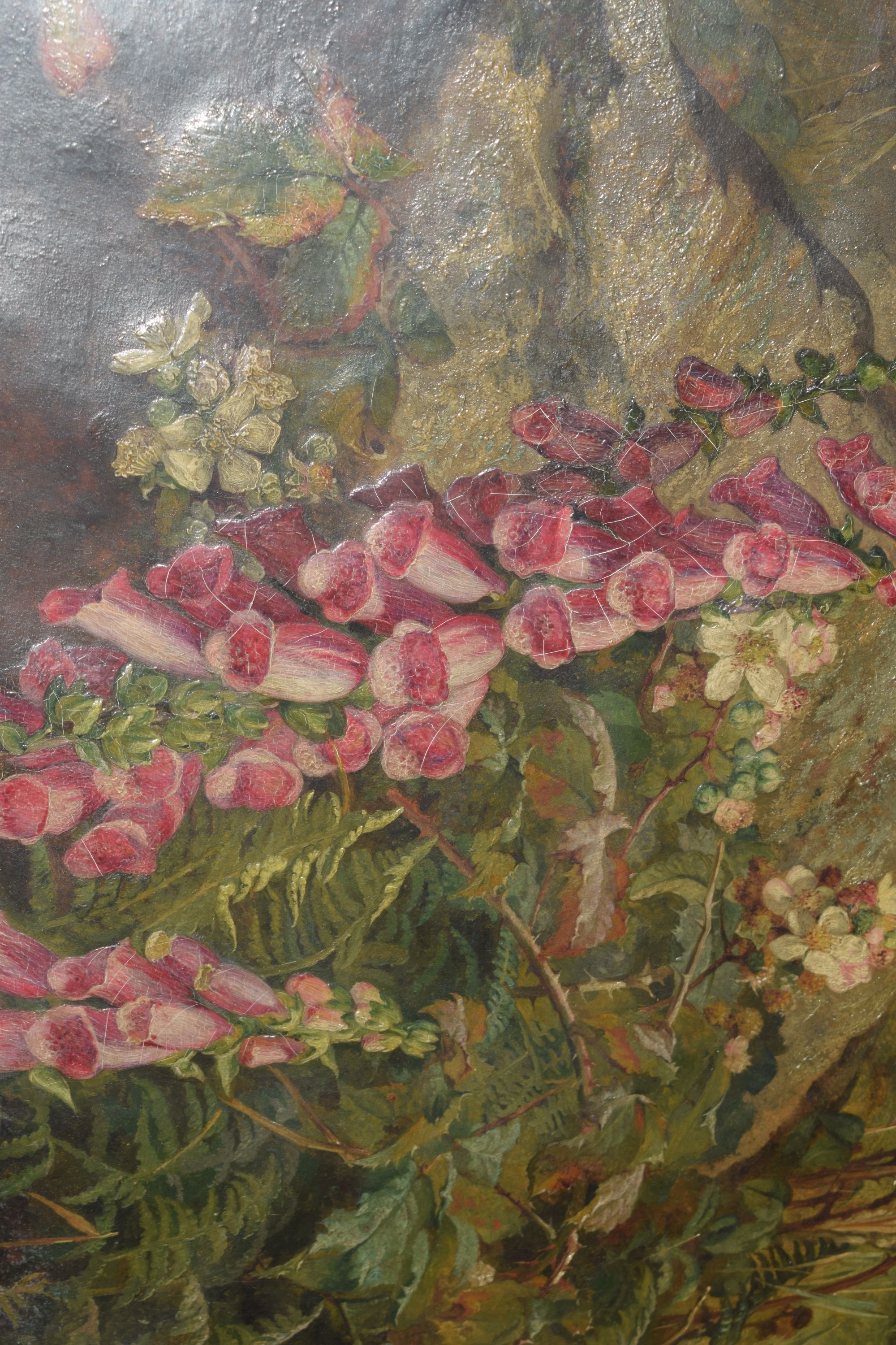 Artwork by Martha Darlay Mutrie, Oil - Foxgloves and ferns in a landscape, Made of Oil on paper