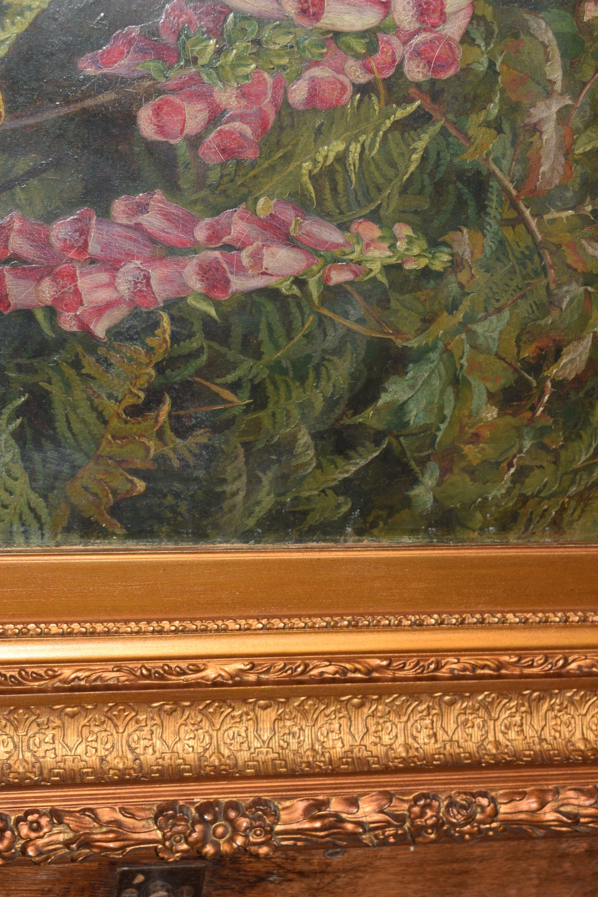Artwork by Martha Darlay Mutrie, Oil - Foxgloves and ferns in a landscape, Made of Oil on paper