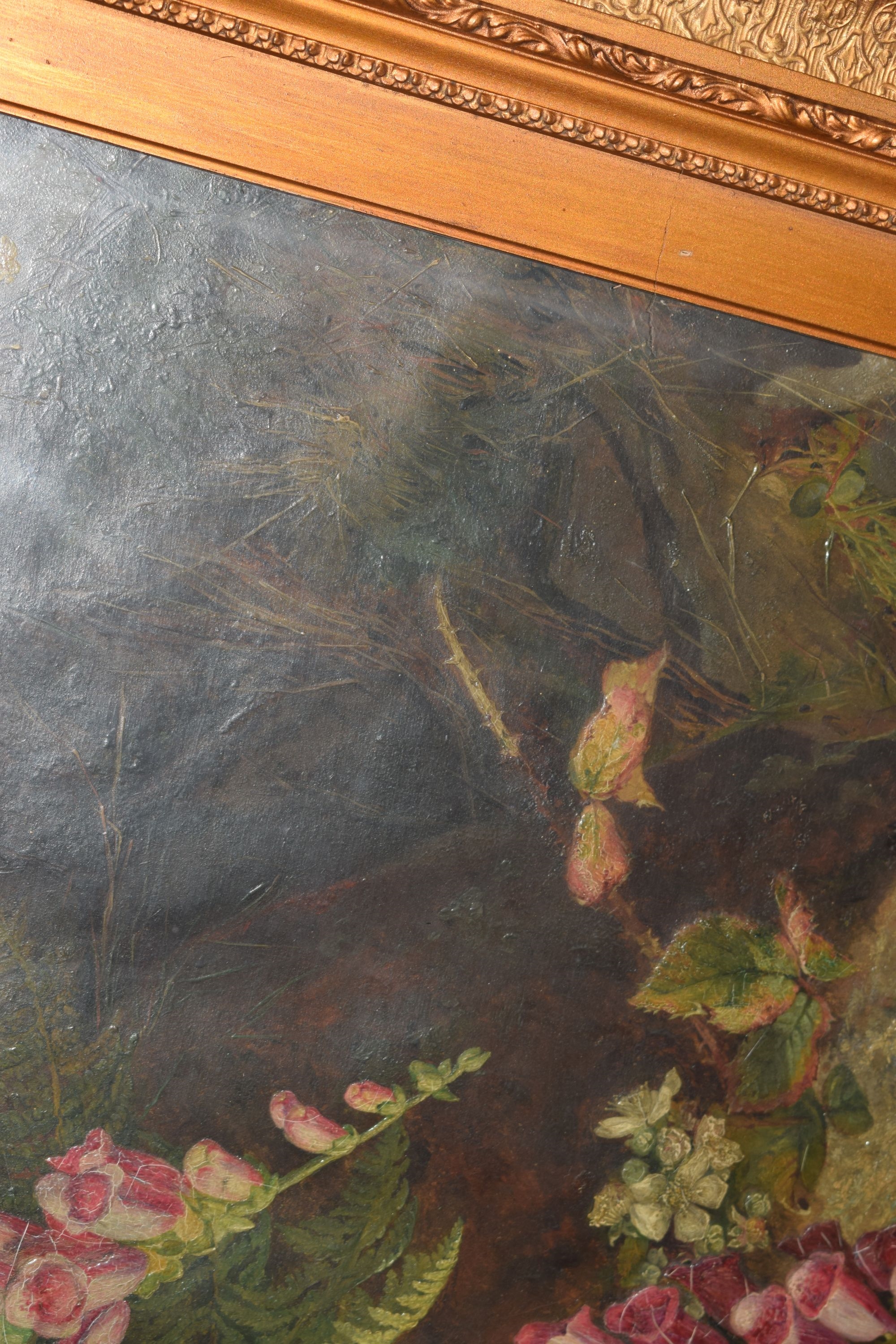 Artwork by Martha Darlay Mutrie, Oil - Foxgloves and ferns in a landscape, Made of Oil on paper