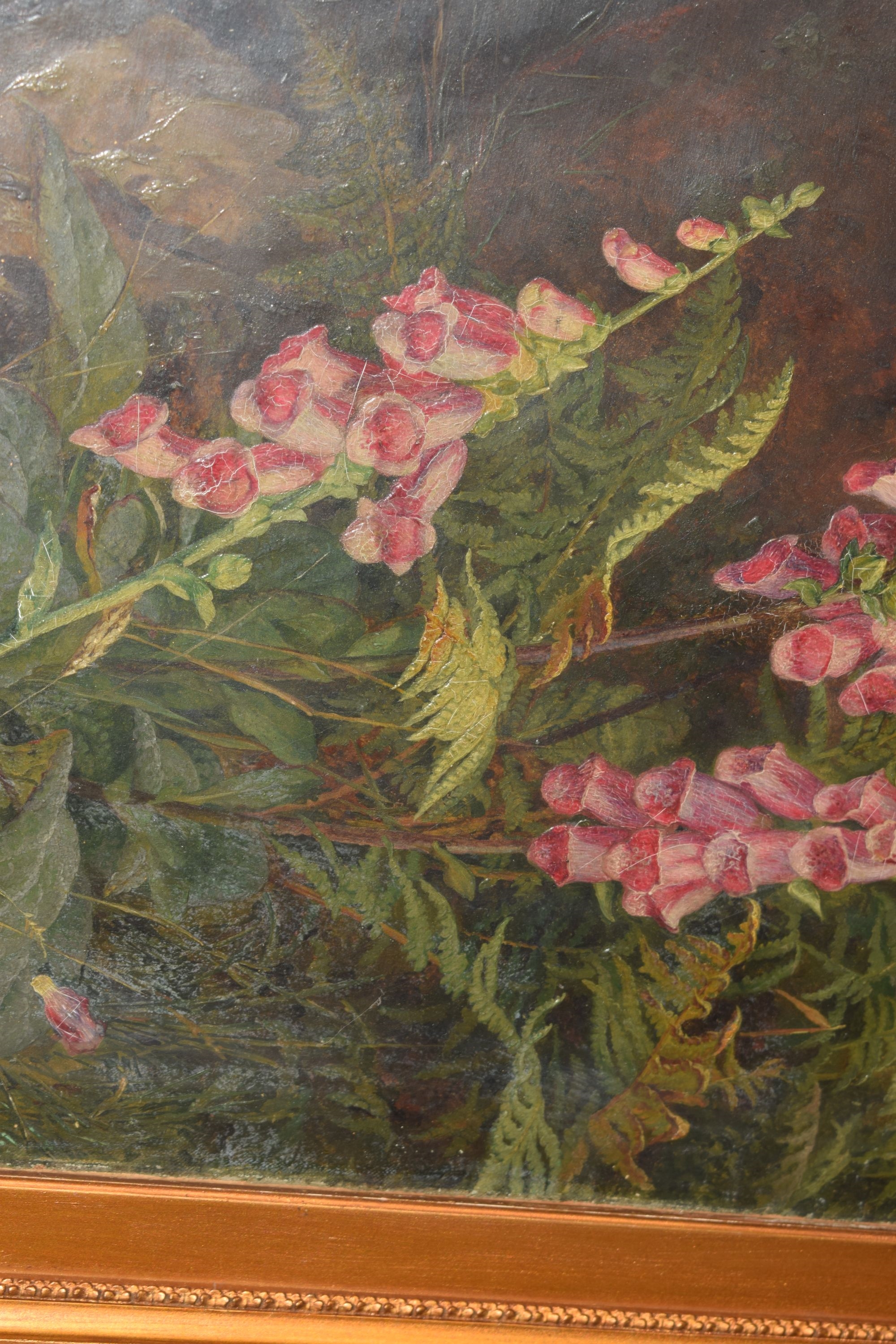 Artwork by Martha Darlay Mutrie, Oil - Foxgloves and ferns in a landscape, Made of Oil on paper