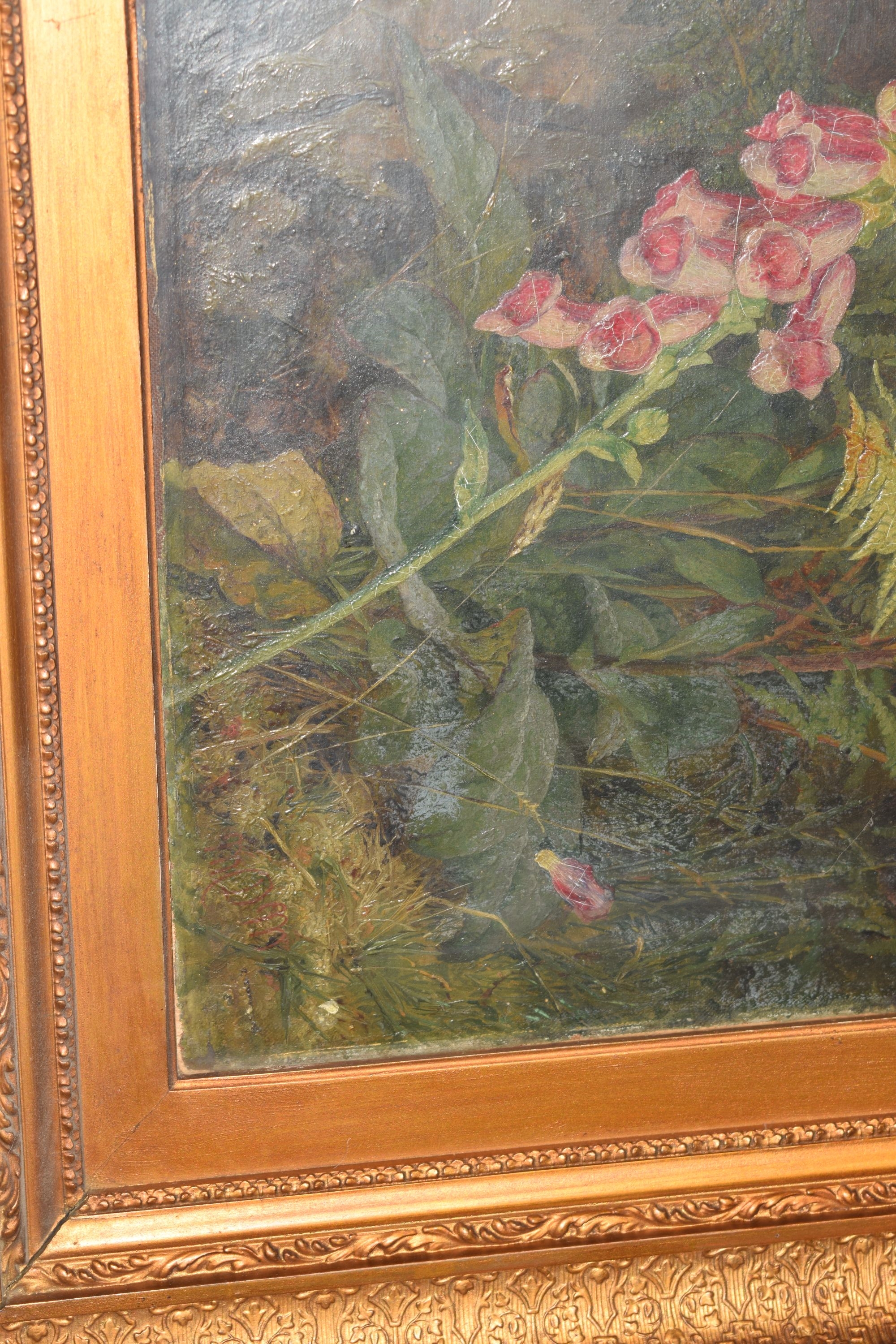 Artwork by Martha Darlay Mutrie, Oil - Foxgloves and ferns in a landscape, Made of Oil on paper